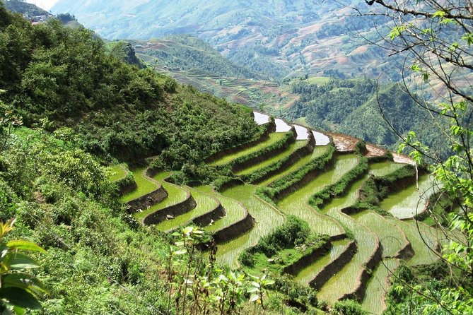 3-Night Sapa Trekking Tour from Hanoi - The two trek days: rice terraces plus village time with a guide