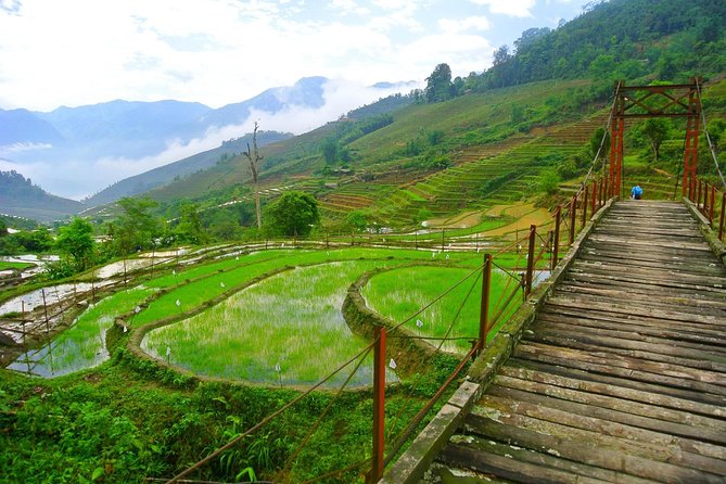3-Night Sapa Trekking Tour from Hanoi - Should you book this Sapa trekking tour from Hanoi?
