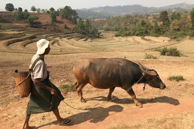 3Days Less Touristic Way Trekking from Kalaw To Inle - Kalaw to Inle on foot: why this route feels less touristy