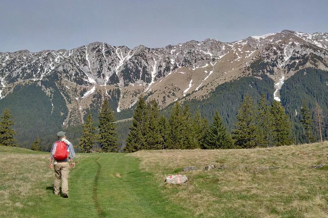 4-Day Carpathian Trek: Bucegi Mountains and Piatra Craiului National Park - Why this Bucegi + Piatra Craiului combo works so well