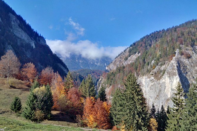 4-Day Carpathian Trek: Bucegi Mountains and Piatra Craiului National Park - Guesthouses and food: the part that makes the next morning easier