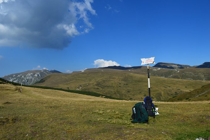 4-Day Carpathian Trek: Bucegi Mountains and Piatra Craiului National Park - Price and value: what $1,070.46 is paying for