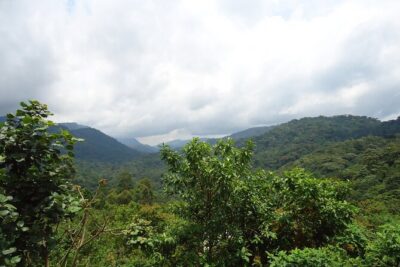 4-Day Gorilla & Chimpanzee Trekking Luxury Fly-in Tour in Uganda - Day 1: Entebbe to Kibale for Chimpanzee Trekking