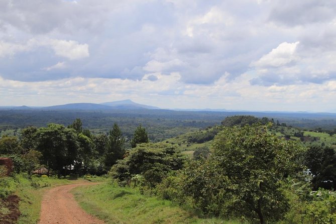4-Day Gorillas, Wildlife and Chimpanzee Trek at Kalinzu Forest - Queen Elizabeth National Park: Kazinga Channel without rushing your energy