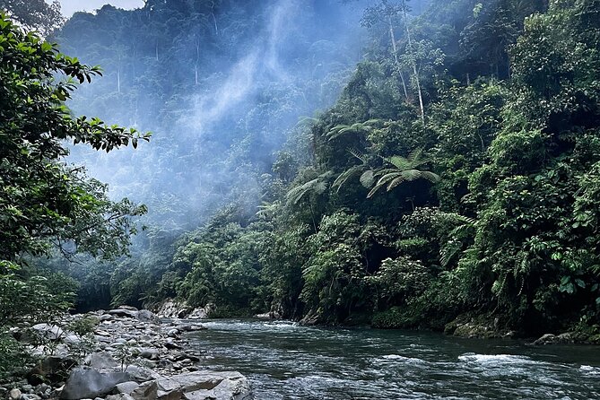 4 Day Jungle Adventure including 2 day trek - Day 2 Trek to Camp 1 Adi Black: orangutan and gibbon country