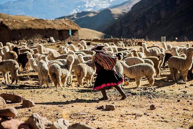 4-Day Lares Trek to Machu Picchu - Cusco Start: Early Pickup, Sacred Valley Drive, and Pumahuanca