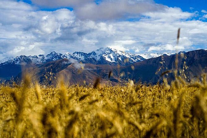 4-Day Lares Trek to Machu Picchu - Ollantaytambo and Inca Terraces: What to Watch For