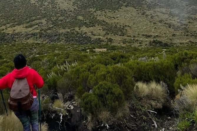 4-Day Mount Kenya Trekking with Pick Up - Old Moses Back to Sirimon Gate and Nanyuki: Finish Strong