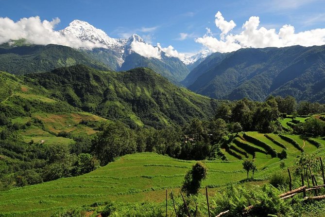 4-day Poon Hill Trek - Price and value: what $400 covers and why it’s not just a ticket