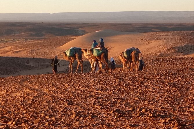 4 Day Private Desert Trek from M'Hamid to Chegaga - Why the M’Hamid to Chegaga Trek Feels More Desert Than Road Trip