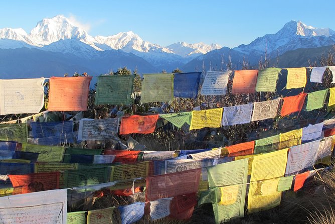 4-Day Private Poon Hill Trekking Tour - Day 1: Pokhara to Ulleri and your first village rhythm
