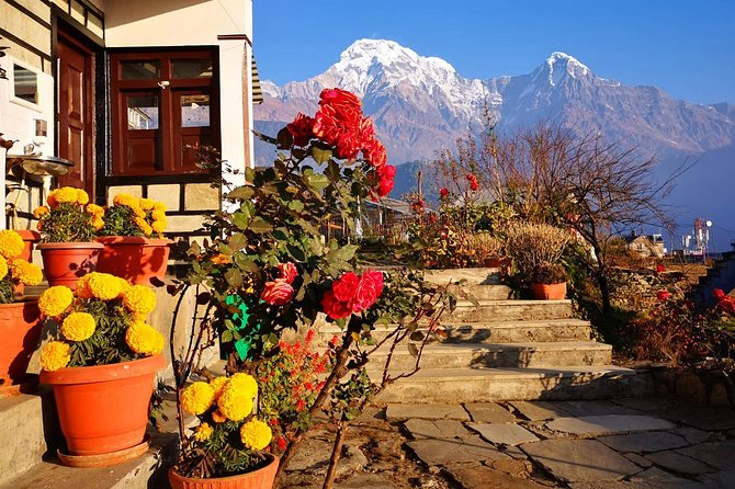 4-Day Private Poon Hill Trekking Tour - Day 4: Back toward Pokhara with Annapurna South and Hiunchuli in view
