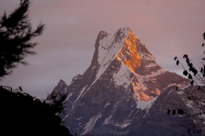 4-Day Private Trekking Experience to Poon Hill and Ghandruk - Day 2 in Ghorepani: Rhododendron Forests, Teahouse Nights, and Big-Mountain Views