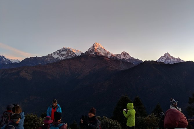 4-Days Amazing Short Trekking of Pokhara Valley - The climb to Ulleri via Banthanti: Steep effort, big payoffs