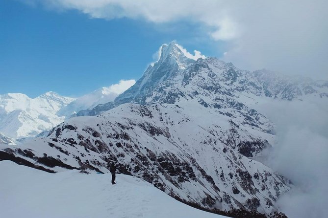 4 Days Mardi Himal Base Camp Trek - 4500 Meters - Day 2 to High Camp (3550m): rhododendron, bamboo, and Annapurna/Fishtail views