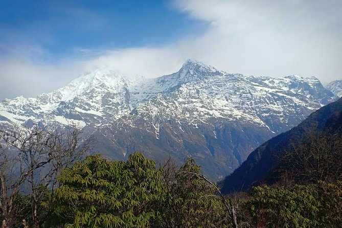 4 Days Mardi Himal Base Camp Trek - 4500 Meters - Day 4 down to Siding and back to Pokhara by shared jeep