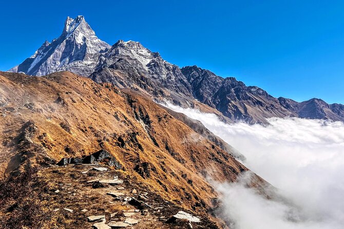 4 Days Mardi Himal Base Camp Trekking in Pokhara - Permits, Guesthouses, and Why the $245 Price Works