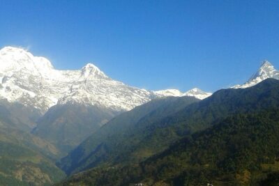 4 Days Mardi Himal Base Camp Trekking in Pokhara - Day 2 (Forest Camp → High Camp): Rhododendron Forests and High-Camp Timing