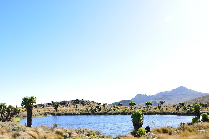 4 Days mount Elgon Trek, 4321m a.s.l - Day 3: The 9km push to Wagagai at 4,321m