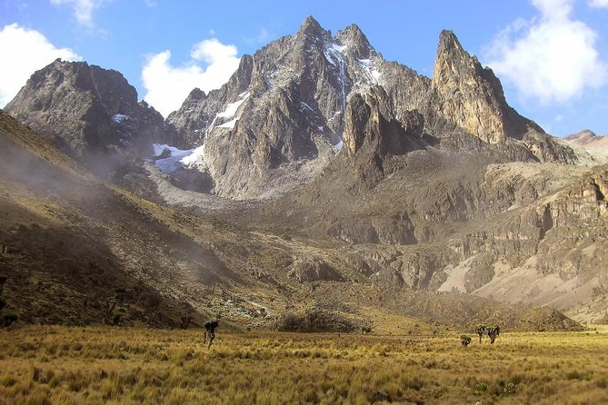 4 Days Mount Kenya Trekking - Key things that make this trek work
