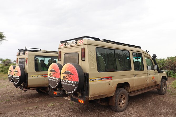 4 Days Mount Kenya Trekking - Day 3: Early climb to Point Lenana (4,895m) then back down
