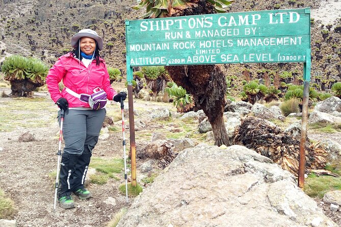 4 Days Mount Kenya Trekking - What you’ll see up close: glaciers, forests, and moorland life