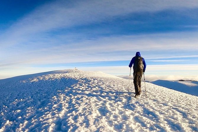 4 Days Mount Kenya Trekking - Day 1: Sirimon Gate to Old Moses Camp (3,300m)