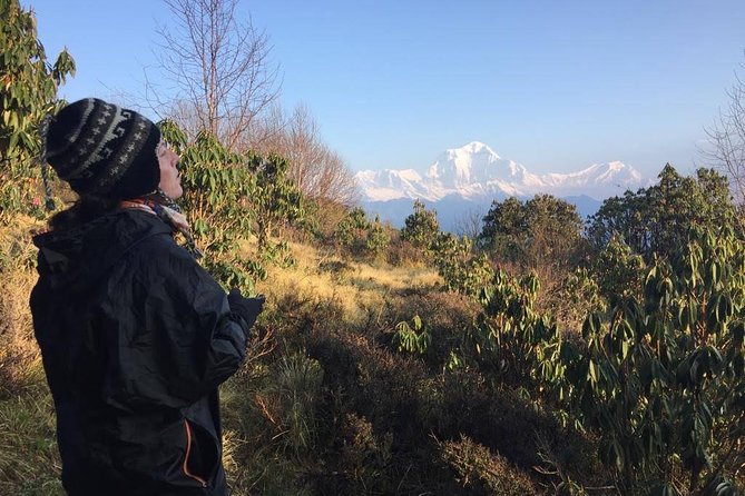 4 Days Poon Hill Trek - Why Poon Hill at 3,210m is the whole point