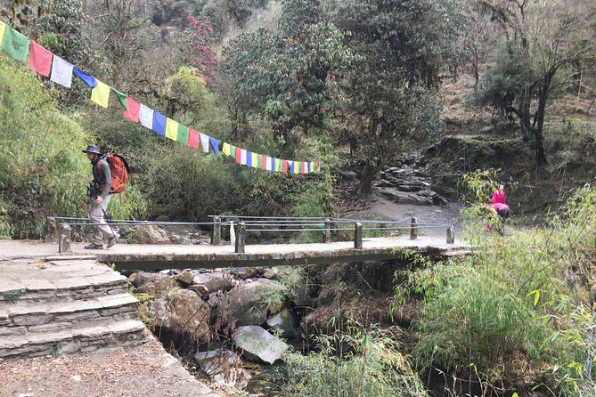 4 Days Poon Hill Trek - Day 2: Ghorepani via rhododendron forests and Annapurna views