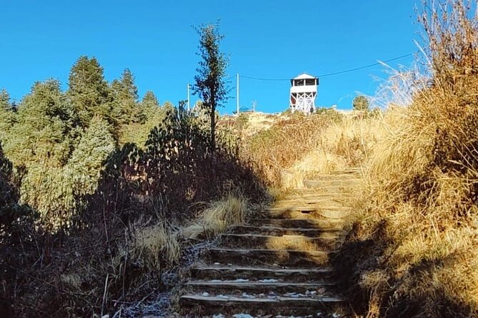 4 Days Poon Hill Trek from Pokhara - Price and logistics: why $229 per person can be good value