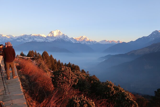 4 Days Poon Hill Trek from Pokhara - Poon Hill at dawn: 45 minutes to the big payoff