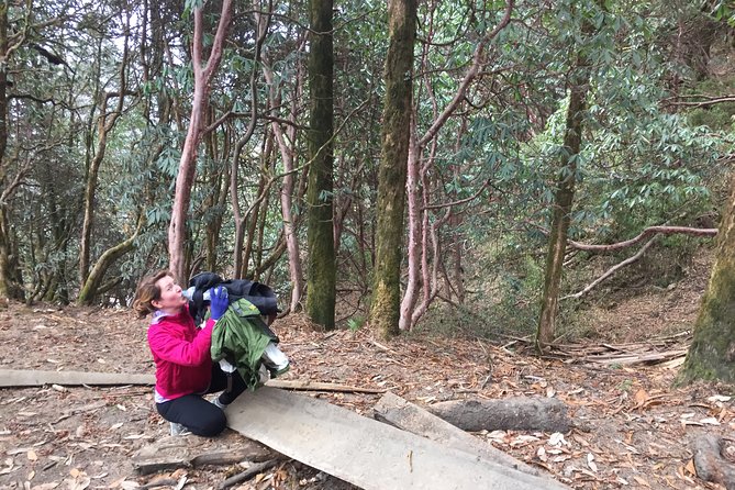 4 Days Poon Hill Trek - Guides matter more than you think