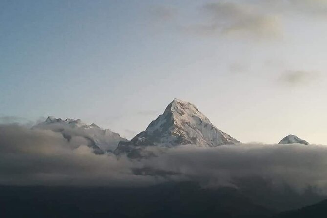 4 Days Poonhill Trek From Pokhara To Pokhara - Day 2: Ulleri to Ghorepani Deurali Through Jungle and Rhododendrons