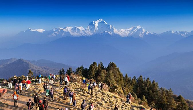 4 Days Poonhill Trek From Pokhara To Pokhara - Day 1: Nayapul to Ulleri and the Stair Climb Above Tikhedunga Khola