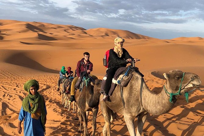 4 Days: Private Desert Tour from Marrakech to Merzouga & Camel Trek - Todra and Erfoud to Erg Chebbi: the desert transition gets real on Day 2