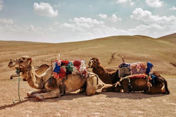 4 Days: Private Desert Tour from Marrakech to Merzouga & Camel Trek - Day 3 sunrise dunes, Rissani, and the Draa Valley run toward Ouarzazate