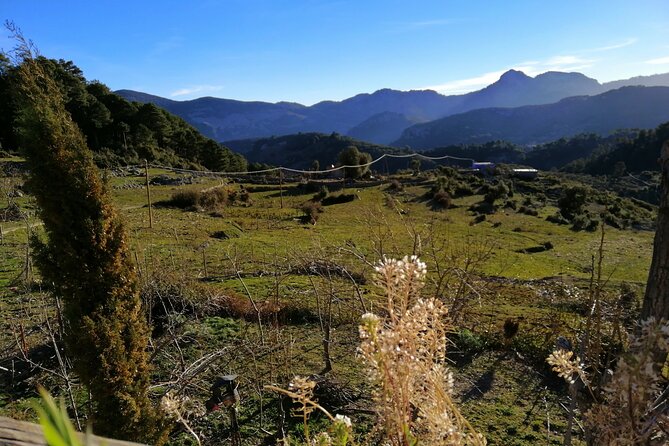 4 days trekking in the Rif mountains - Day 3: God’s Bridge Canyon Views, Possible Barbary Macaques, and Akchour Waterfalls