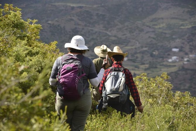 4 days trekking in the Rif mountains - Where You Stay and What Half Board Covers in Real Life
