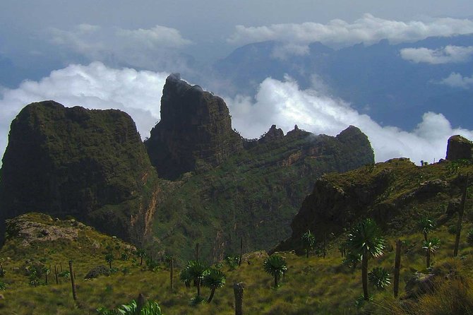 4 Days Trekking to Simien Mountain National Park - Day 2: Gich Abyss, the Jinbar Waterfall, Barley Fields, and Coffee in Gich Village
