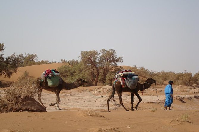 4 Days Trekking To The Heart Of Desert - High Atlas to Sahara: why this trek starts long (and worth it)