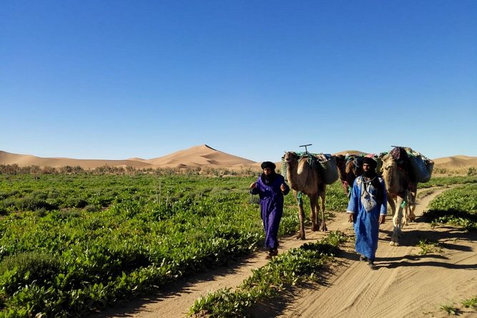 4 Days Trekking To The Heart Of Desert - Group size, privacy, and how guides shape the whole trip