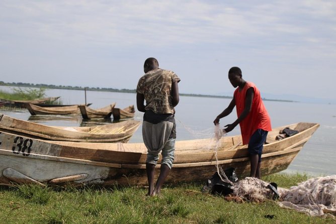 5 Day Gorillas, Wildlife and Kalinzu Forest Chimp Trek - Price and value: is $2,780 actually fair?