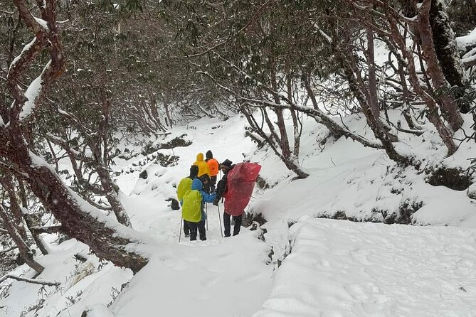 5 Day Mardi Himal Base Camp Trek in Pokhara - Trek difficulty and fitness level: moderate means what, exactly?