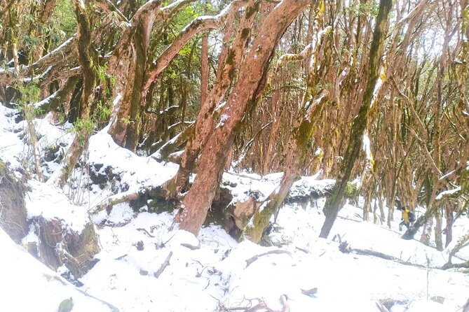 5 Day Mardi Himal Base Camp Trek in Pokhara - Route map in real life: Kande to Australian Camp, then camp by camp