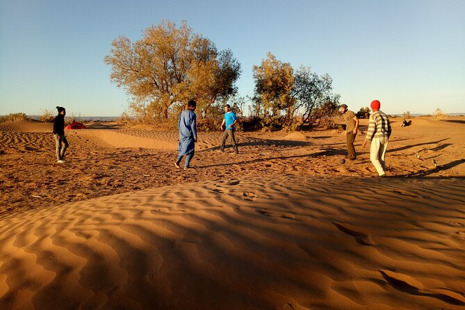 5-day trek - In the Draa Valley - Your walking days: 13 to 17 km, desert pace, real rhythm