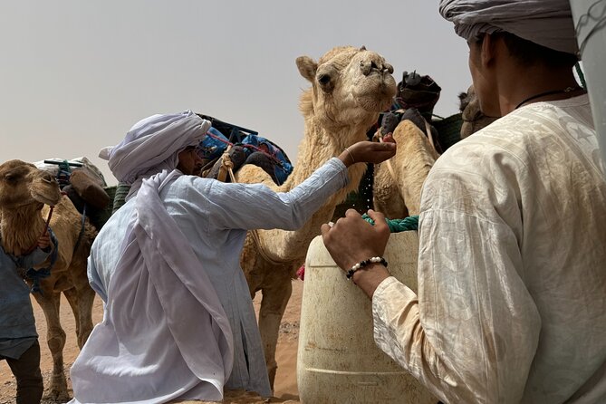 5 Days Desert Trekking from Marrakech - Day 4: Tamarisk trails, Lahdybat lunch, and the final night in the dunes