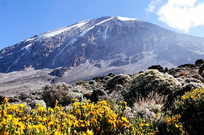 5 Days Marangu Route - Mount Kilimanjaro Trek - The Big Day: midnight ascent, Hans Meyer Cave, Gillman’s Point, and Uhuru Peak