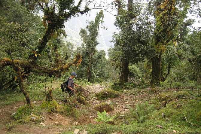 5 Days Mardi Himal Base Camp Trek - Lodges, meals, and the kind of fuel you actually need