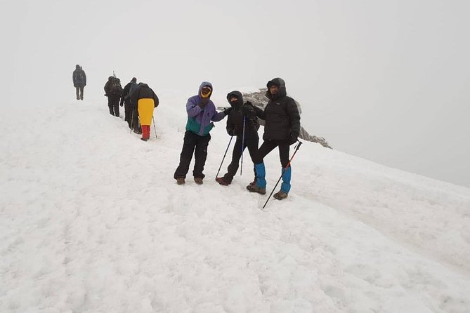 6-Day Kilimanjaro Machame Route – A Stunning Trek to Uhuru Peak - Day 2: Shira Cave Camp and the steep move out of the forest (2,835m–3,850m)