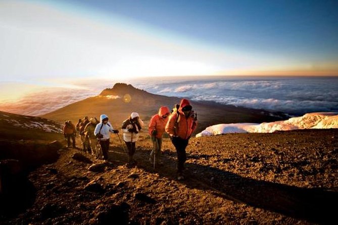 6-Day Kilimanjaro Machame Route – A Stunning Trek to Uhuru Peak - Moshi to Machame Gate: getting started without wasting energy